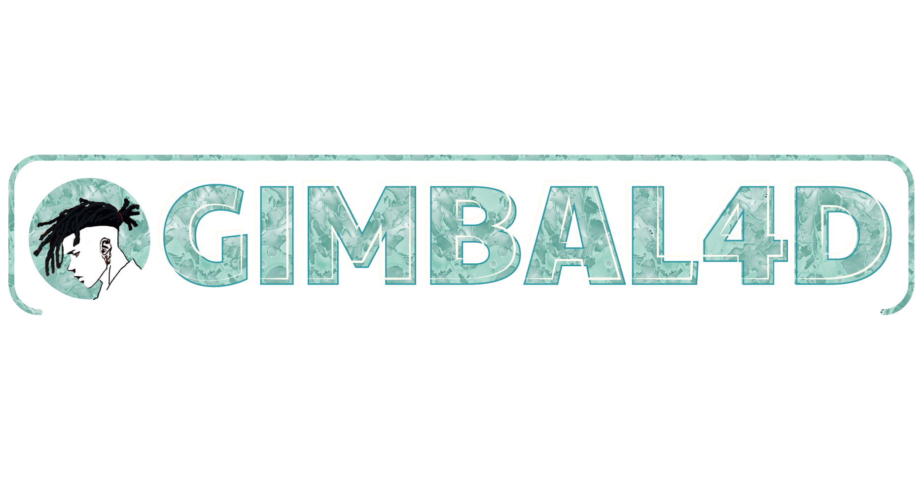 GIMBAL4D